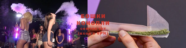 ГАЛЛЮЦИНОГЕННЫЕ ГРИБЫ Аркадак