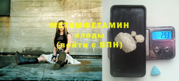 ГАЛЛЮЦИНОГЕННЫЕ ГРИБЫ Аркадак